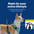 PetSafe EasySport Dog Harness, Teal Blue