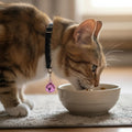 HJZHII 26Pcs Cat Collar Bell Pet Bells for Cat Dog Collar, Colourful Small Dog Puppy Pet Bells for Collars with 1Pack Keychain
