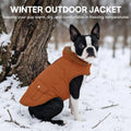 Queenmore Warm Puffer Dog Jacket Thick Plush Lining Winter Small Dog Coat