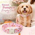 LIONET PAWS Fall Dog Collar for Small Medium Large Girl Dog-Pink Pumpkin M