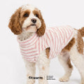 Fitwarm 2 Pack Striped Fleece Dog Sweater, Warm Winter Dog Clothes for Small Dogs Girl, Fuzzy Turtleneck Pet Outfit, Dog