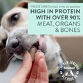 WOOF Wild Venison Freeze Dried Raw Dog Food, Mixer, or Topper, or Treat - High Protein, Natural, Limited Ingredient Recipe - 9.9 Ounce (Pack of 1)