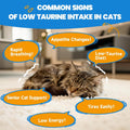 Taurine for Cats - Taurine Supplement for Cats Heart Health, Cardiac Function, Immune System Support - with L-Carnitine, CoQ10, Omega-3, L-Arginine - 60ML, Roast Chicken Flavor