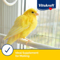 Vitakraft Egg Food for Birds 1.1 lb.