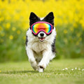 Dog Goggles for Medium Large Breed UV Protection Windproof Anti-Fog Eyewear