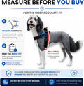 ShawnCo Essential Dog Harness, No-Pull Pet Vest with 3 Leash Clips, No Choke, Reflective, Adjustable and Padded, for Easy Walking and Training for Small, Medium and Large Dogs (Oceanic Blue, S)