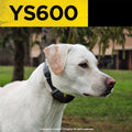 Dogtra YS600 No Bark Collar for Large Dogs 35 lbs and Up, Rechargeable Waterproof Bark Control Collar, 10 Stimulation Le