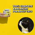 Temptations Bites in Gravy Wet Cat Food, Variety Pack, 3.5 oz, 36 Count