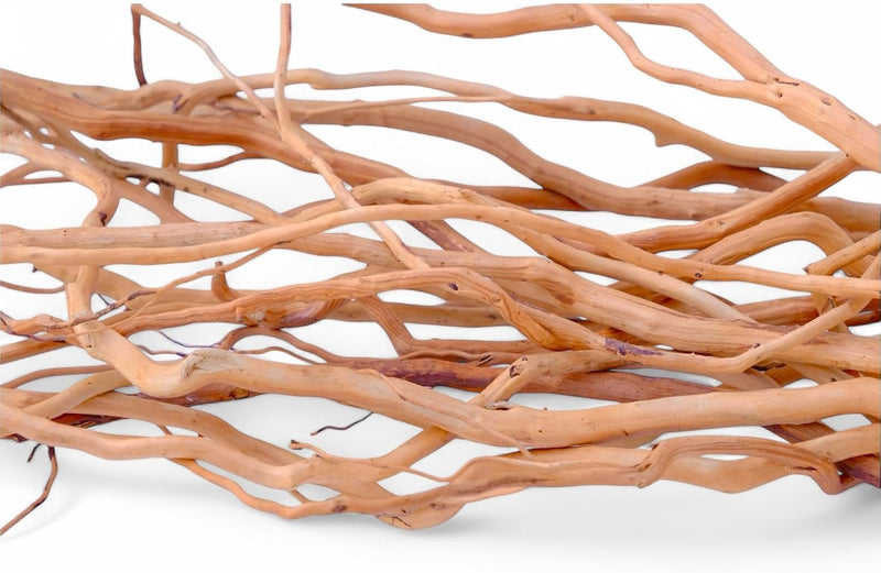 Azil Natural Aquarium Driftwood Root – Driftwood for Aquarium Decor, 170g~0.38lb (14″–16″), Fish Tanks, Terrariums, Aqua
