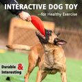Kwispel Dog Flying Disc - Durable Rubber Dog Toy for Fetch - Interactive Lightweight Flyer Dog Toys for Outdoor Playtime - Safer Disc for Healthy Activity - for Small/Medium Dogs (Blue)