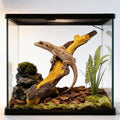 Reptile Climbing Tree Branch: Resin Wood Decor for Terrarium