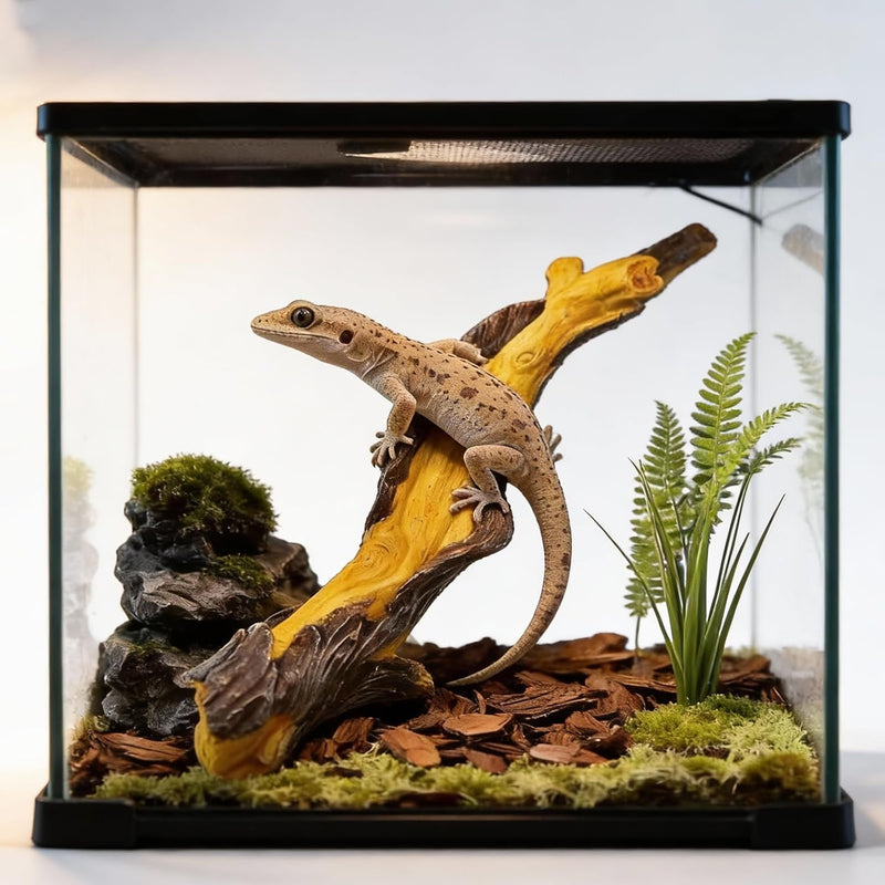 Reptile Climbing Tree Branch: Resin Wood Decor for Terrarium