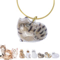 sencdfly Cat Hair Storage Keychain,Transparent Cat and Dog Hair Storage Capsule,Welldonepet Cats Hairs Keychain