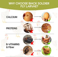 5LB Dried Black Soldier Fly Larvae for Chicken, Poultry, Wild Birds,No Additives, 100% Natural Non-GMO, More Calcium Chi