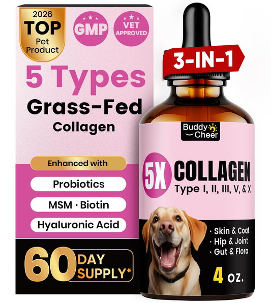 Premium Collagen for Dogs & Cats – 5 Types of Grass-Fed Collagen (I, II, III, V & X), Fast Allergy & Itch Relief Dog Colágeno with MSM, Biotin & Hyaluronic Acid – Supports Healthy Skin & Joints –120ml