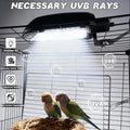 Bird Cage Light Fixture Combo Kit with Adjustable Timer,Lamp Hood with 2.4% UVB UVA 20W Compact Fluorescent Bulb for All Kinds Captive Birds Reptiles
