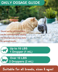 Hairball Treatment for Cats - Cat Hairball Remedy - with Natural Ingredients & Vitamins - Kitten Furball Treatment - Supports Skin & Coat, Digestion - Cat Grass Flavor