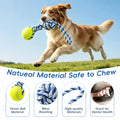 Erhalithegro Interactive Tug of War Rope Toy for Medium & Small Dogs - Outdoor Tether Tug Toy with 1 Knot & Tennis Ball, Puppy Teething Chew Cotton Toy
