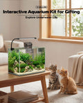 5 Gallon Glass Aquarium Starter Kit, Rimless Fish Tank