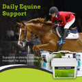 SynNutra SynChill Daily Pellets for Horses, 30 Doses
