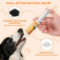Wdelya Activated Charcoal for Dogs & Cats (60cc) | Emergency Pet First Aid for Accidental Ingestion | Precision 1cc per 1lb Dosing | Ready-to-Use Toxin Binder Gel