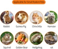 700g Apple Sticks Molar Wood Treats, Rabbit Toys Chinchilla Guinea Pig Bunny Toys Wood Chews Sticks for Teeth Rabbit Foo