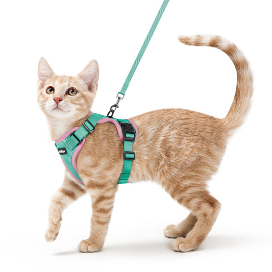 rabbitgoo Cat Harness and Leash Set, Escape Proof Vest Harness for Safe Outdoor Walks, Soft Breathable Adjustable Vest with Reflective Strips for Small and Average Cats, Green & Pink, S