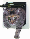 Ideal Pet Products Cat Flap Door with 4 Way Lock, 6.25" x 6.25" Flap Size