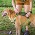 Kurgo Cascade Harness, Hiking Backpack for Dogs, Pet Harness with Backpack for Camping with a Dog (Green, Large)