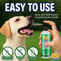 Bodhi Dog Natural Dog Breath Freshener Spray | Fresh Breath for Dogs, Tartar & Plaque Remover | Supports Teeth & Gum Hea