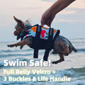 Teacup Dog Life Jacket | Small Puppy Swim Vest | Floating Aid with Handle & Reflective Strips | Secure POM Buckles, Newb