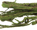 emours Flexible Realistic Jungle Vines Pet Habitat Decor for Lizard,Frogs, Snakes,Chameleons and More Reptiles, 3.6ft Lo