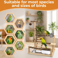 Bird Playground, Natural Wooden Parrot Playstand, Parakeet Playground with Stainless Steel Feeding Cups, Swing, Removabl