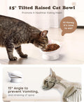Raised Cat Food Bowl Ceramic 15° Tilted Cat Food Bowls Protect Cat's Spine Anti Vomiting Backflow Prevention Bowls for Adult Kitty, Kitten, and Small Dogs, Pink