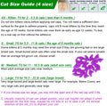 100pcs (10 Colors) Cat Nail Caps, Cat Claw Caps with Adhesive Glue and Applicators (M)