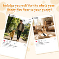 Dog Paw Wound Recovery Boot, Breathable Dog Bootie for Injured Paw, Anti-Slip Dog Shoe with Self-Adhesive Strap, Protect