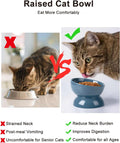 ABRUTY Cat Water Bowl, 16 OZ Ceramic Elevated Cat Bowls, 15° Tilted and Raised Pet Food Dish, Anti Vomiting Protect Pets