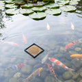 10 PCS Aquarium Floating Plant Barrier, 5 Sizes Fish Feeding Ring Black