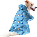 X-Large/Blue Shark