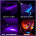 Hortsun Blacklight Flashlights Small UV Lights 395nm LED Portable Ultraviolet Light Detector Mini Flashlight Torch for House Dog Cat Pets Urine Stains Bed Bugs(20 Pcs)