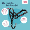 Halti Headcollar (Size 4, Black) & Training Leash (Size L, Black) Bundle