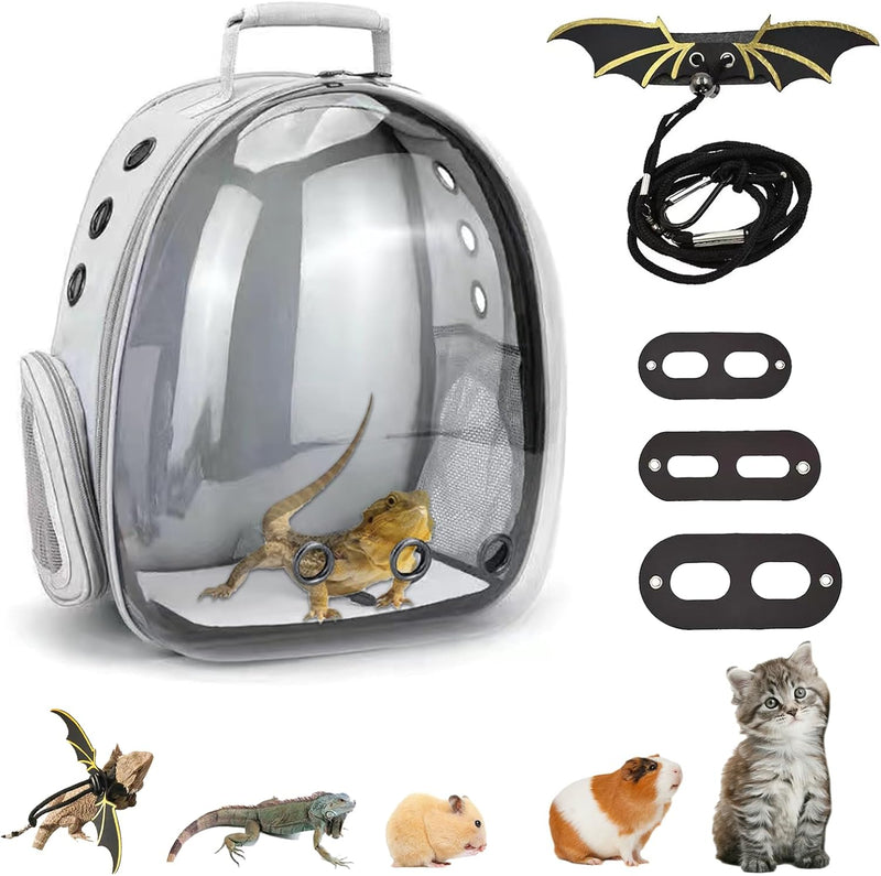Bearded Dragon Carrier with Harness and Leash Small Pet Carrier