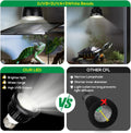 High Intensity UVB Reptile Light Bulb 5.5W 5.0 Full Spectrum UVA UVB for Reptiles simulating Sunlight Promote Synthesis 