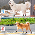 SCENEREAL Anti Slip Dog Socks to Prevent Licking Paws for Hardwood Floors