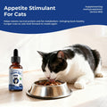 Appetite Stimulant for Cats, Liquid Vitamin B12 & Methylcobalamin Drops