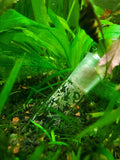 Cunguv Planaria Trap Leech Trap Flatworm Trap 3 Holes Leeches Catcher Glass Tube for Aquarium Shrimp Tank 2 Pieces