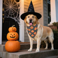 ADOGGYGO Halloween Dog Bandanas, 2 Pack Ghost Pumpkin Dog Scarf