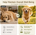 Dewormer for Dogs Fenbendazole Dog Dewormer for Tapeworms, Roundworms, Hookworms and Whipworms
