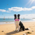 Pai Sence Dog Bow Ties Bulk 30 Pcs Plaid Dogs Bowties for Large Dogs Adjustable Bow Ties Pet Party Grooming L