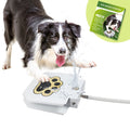 KEFIY Dog Water Fountain Step On, Outdoor Dog Water Sprinkler for Large Dogs, with Upgrade Copper Valve Set, Easy to Use, Fresh Water to Drink